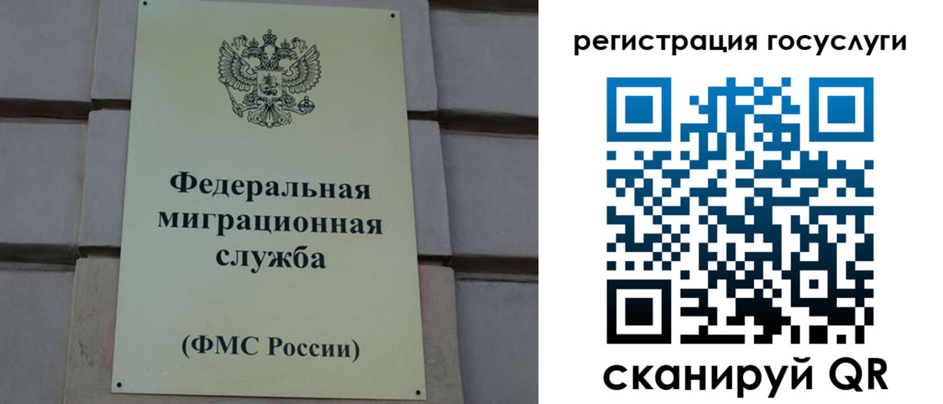 временная регистрация поиск в Высоковске